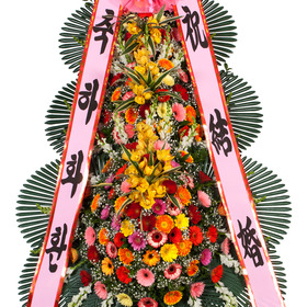 49 축하화환(특,특특,특특특)