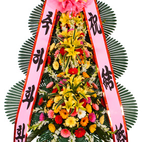 축하69